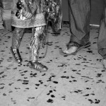 00231S_lavoro_sicilia09