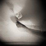 9 sito definitiva holga port alta def081