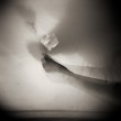 9 sito definitiva holga port alta def081
