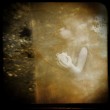 sitoHOLGA 233