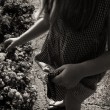 9 _DSC6166