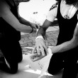 sito 2 20090714-20090714-acrobati2009-07-14_18-20-09