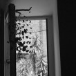 001-_ok-