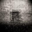 1-sito-bis-holga091
