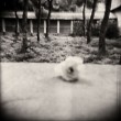 6 sito definitivaholga092
